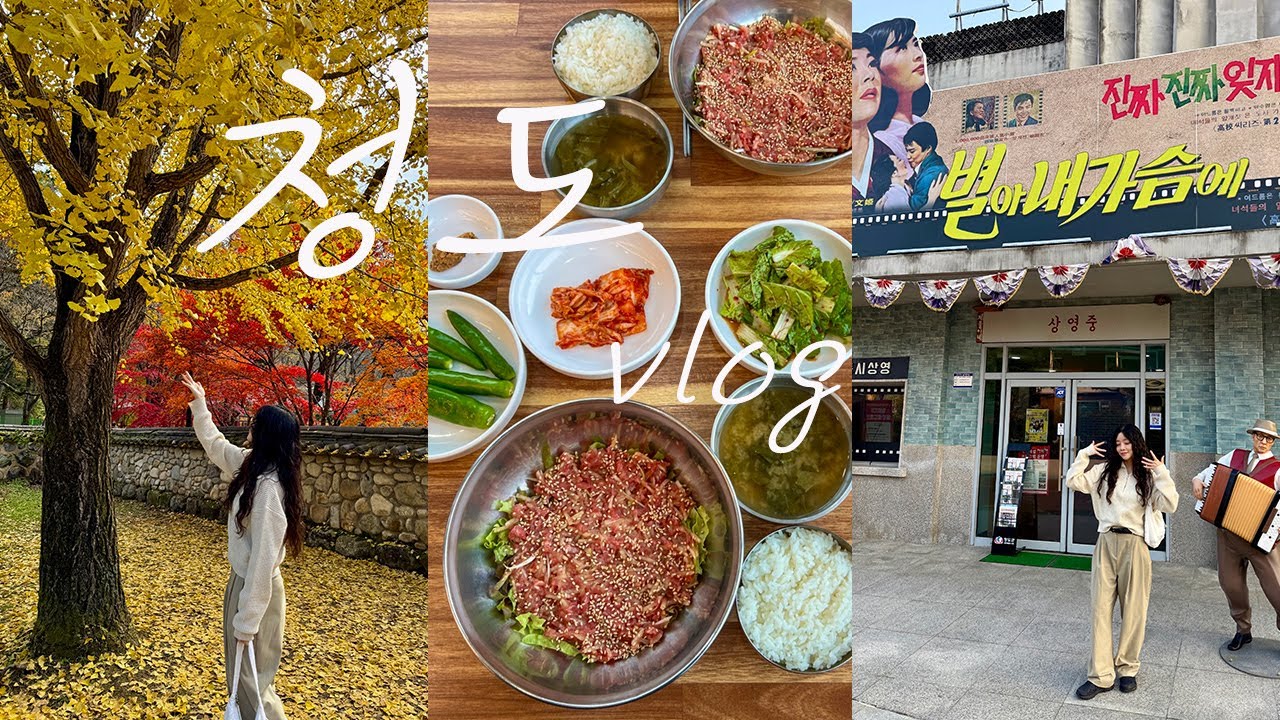 [VLOG] 청도 여행 브이로그ㅣ청도 맛집 카페 ㅣ청도 가볼만한곳 운문사 유천마을ㅣ부산 근교 드라이브ㅣcheongdo vlogㅣ
