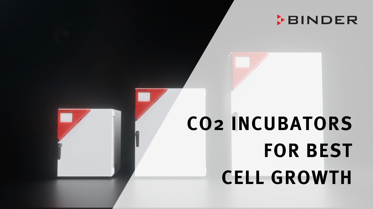 BINDER CO2 Incubators for best cell growth