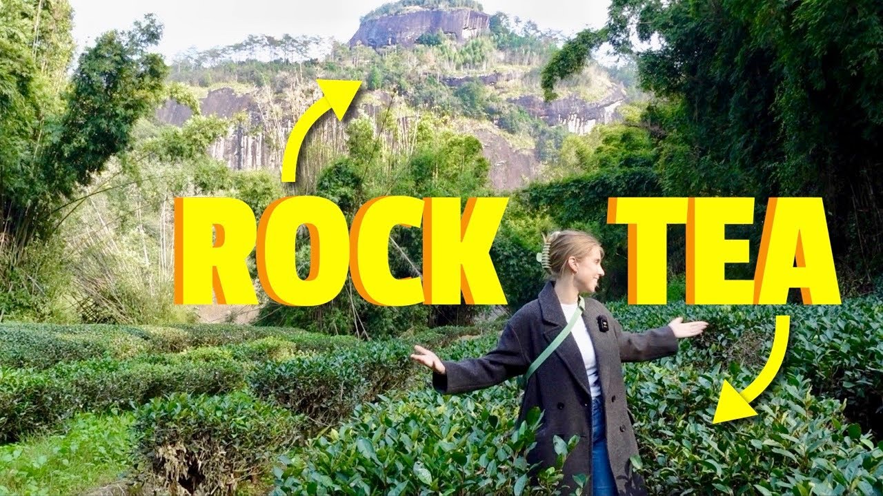 World's most EXPENSIVE tea & made with the help of ROCKS?
