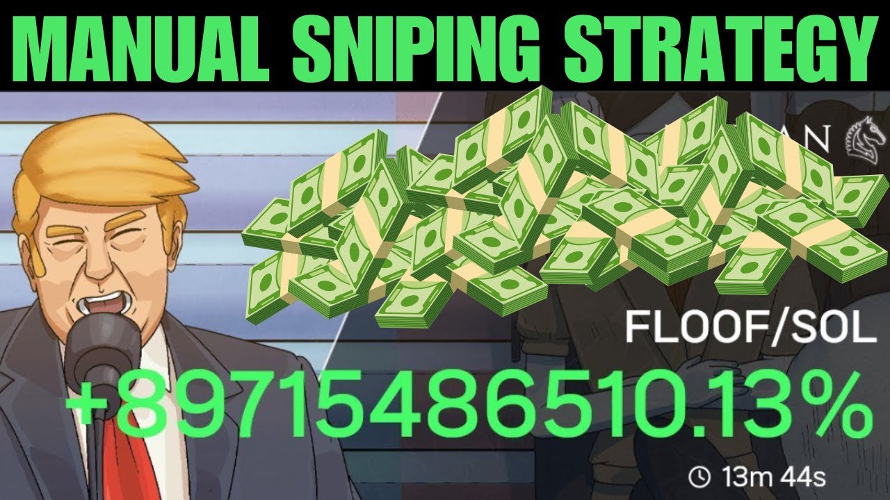 How To Manually Snipe Token Launches