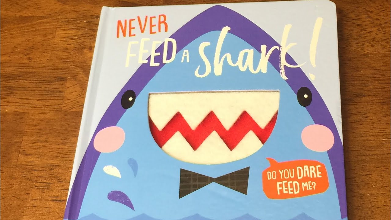 Never Feed A Shark
