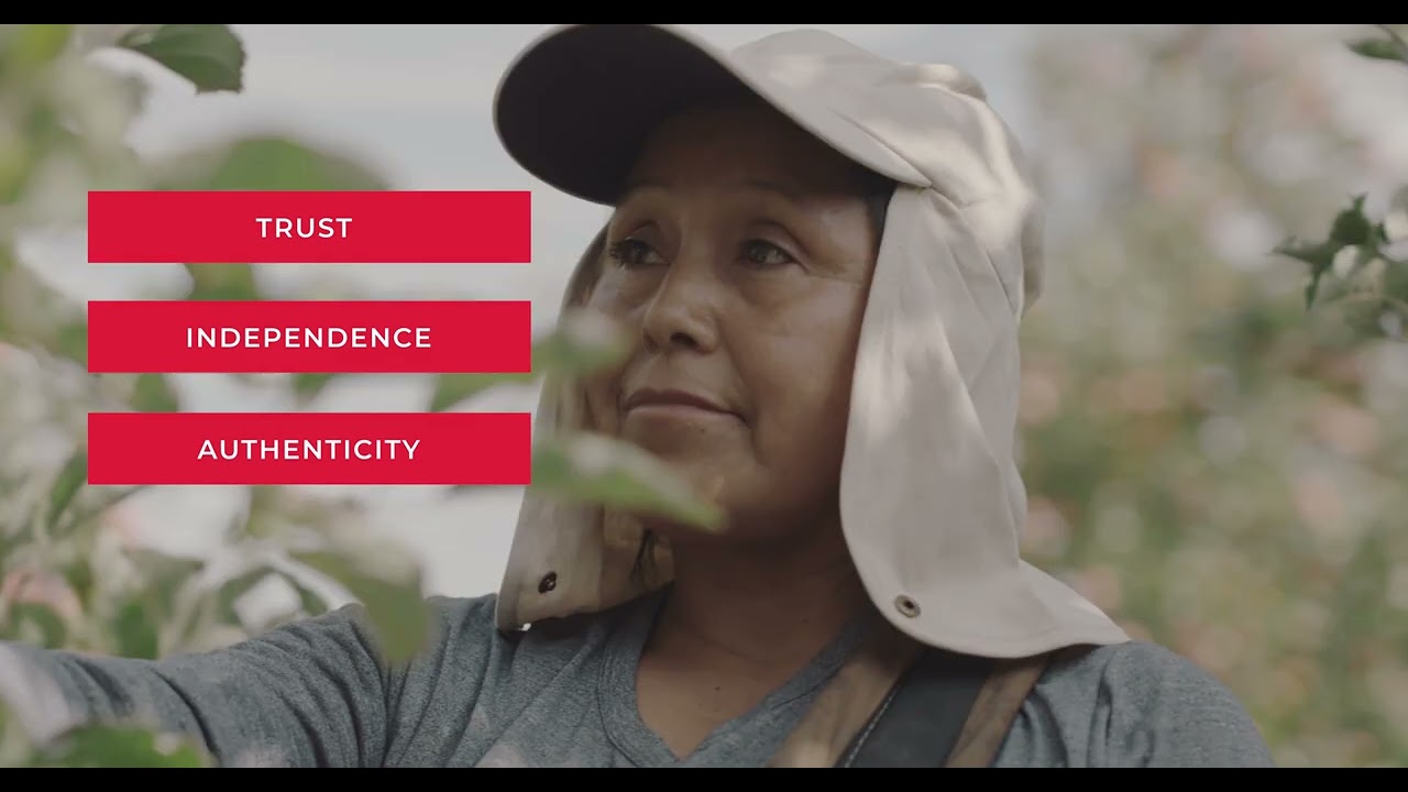 The guarantee - ECOCERT