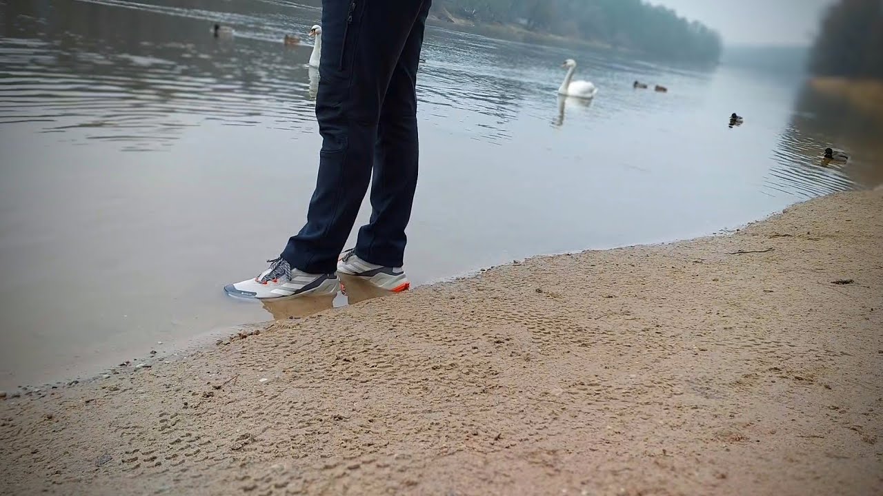 Adidas Terrex Trailmaker 2 GTX.
