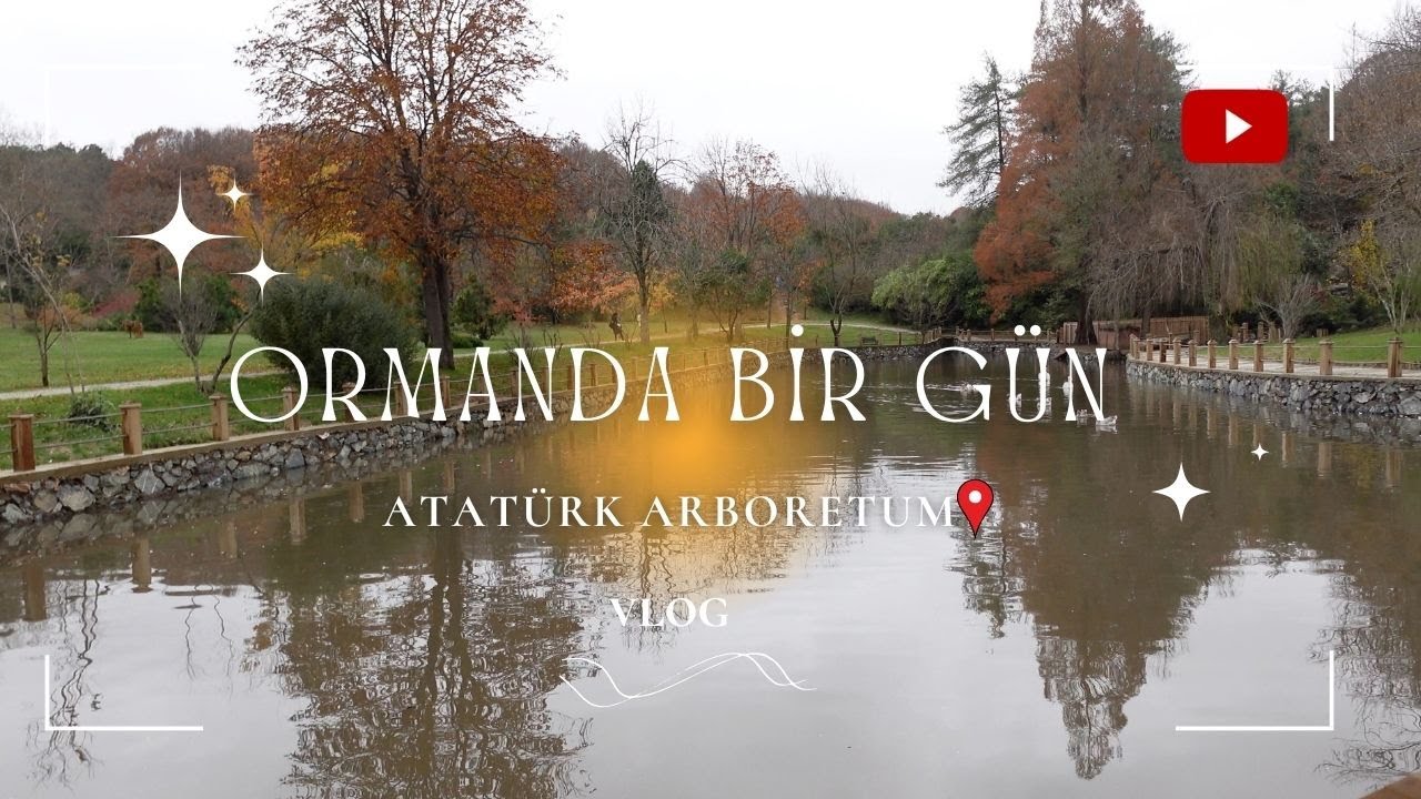 Ormanda bir gün geçirelim |  We spend a day in the forest