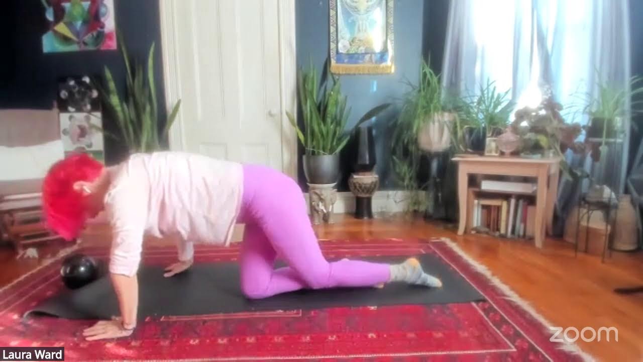 Exercise: 25 MInutes of Weights and Mobility