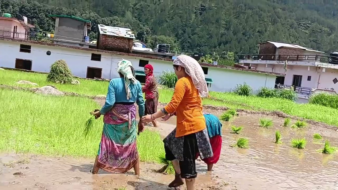 Aaj Ropai me aa gya mja 😂😂sab ko bna diya bhut 🤣🤣
