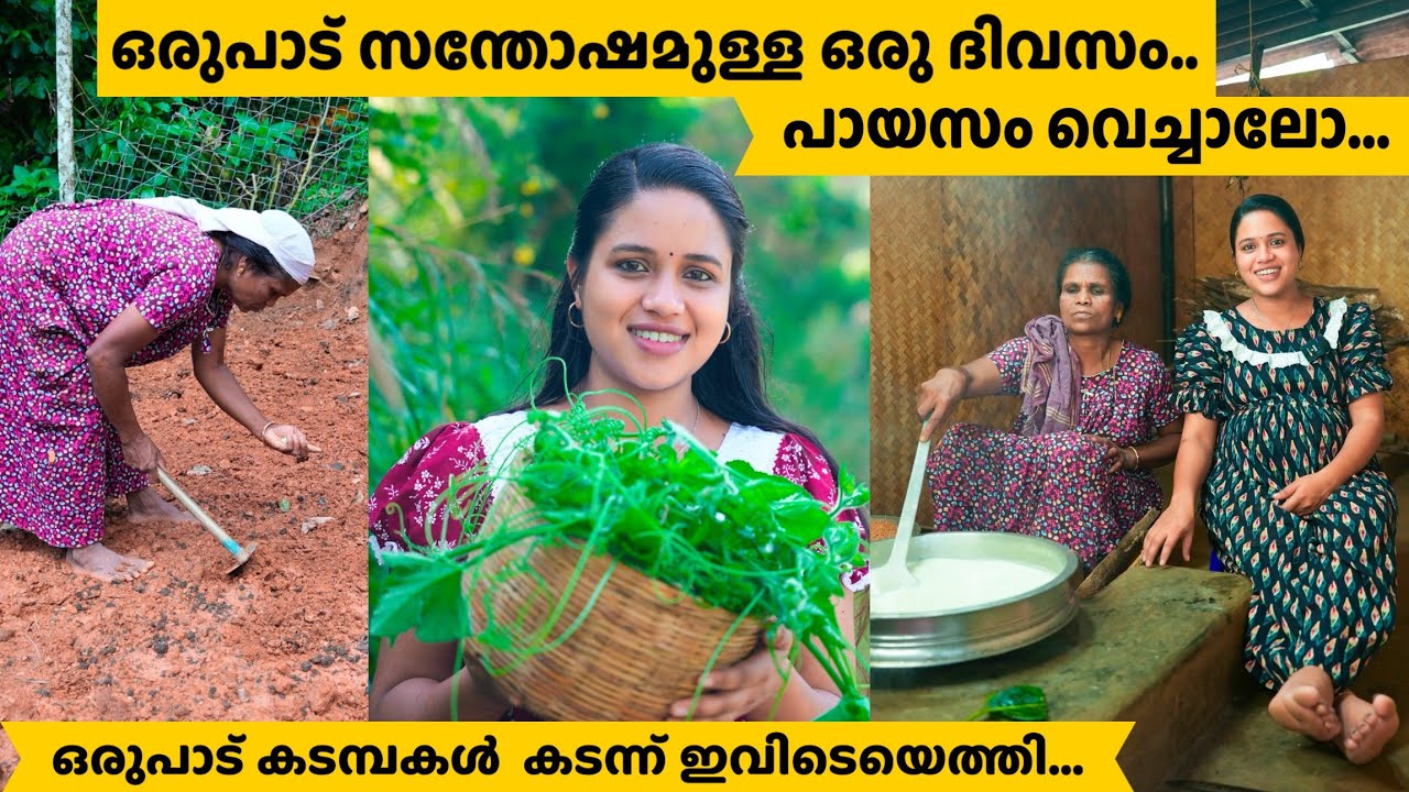 ഒരുപാട് കടമ്പകൾ കടന്ന് ഇവിടെയെത്തി..../ ഒരുപാട് സന്തോഷമുള്ള ഒരു ദിവസം.. പായസം വെച്ചാലോ... Saranya