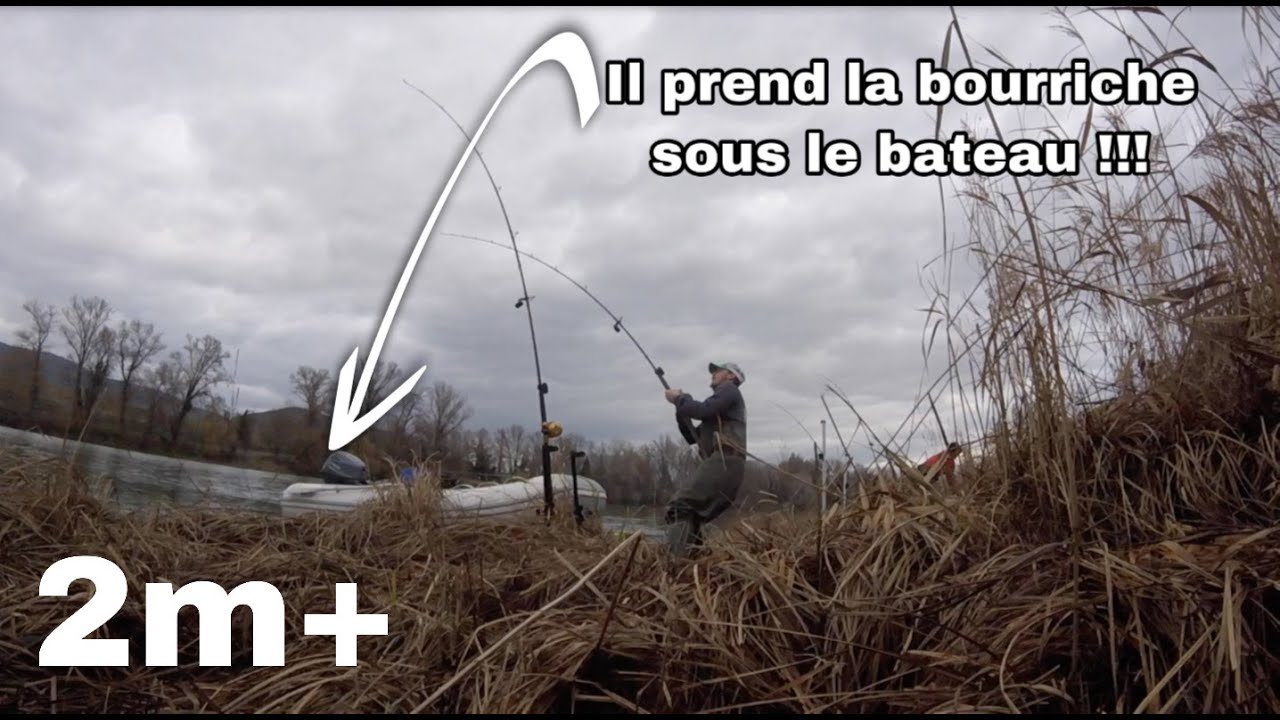 Pêche silure au cassant 