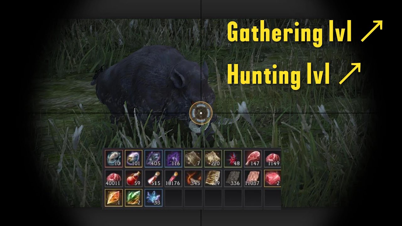 I Tried Sniper Hunting With 1k EXP and 3k Mastery in BDO to Get Forest Crystals