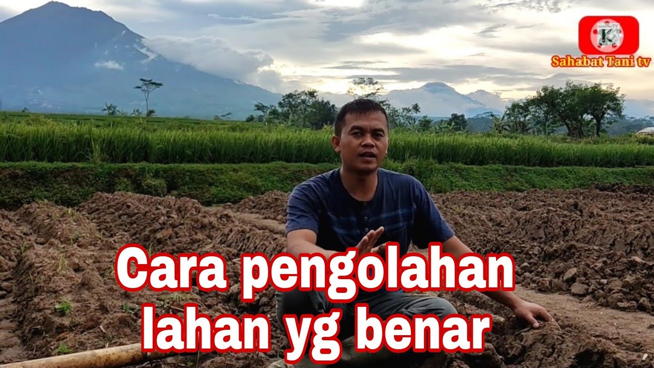 Cara pengolahan lahan yang bagus & tepat