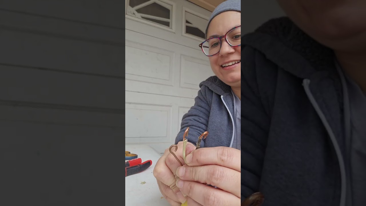 Well pump jet pump replacement replace pump diy homeowner 