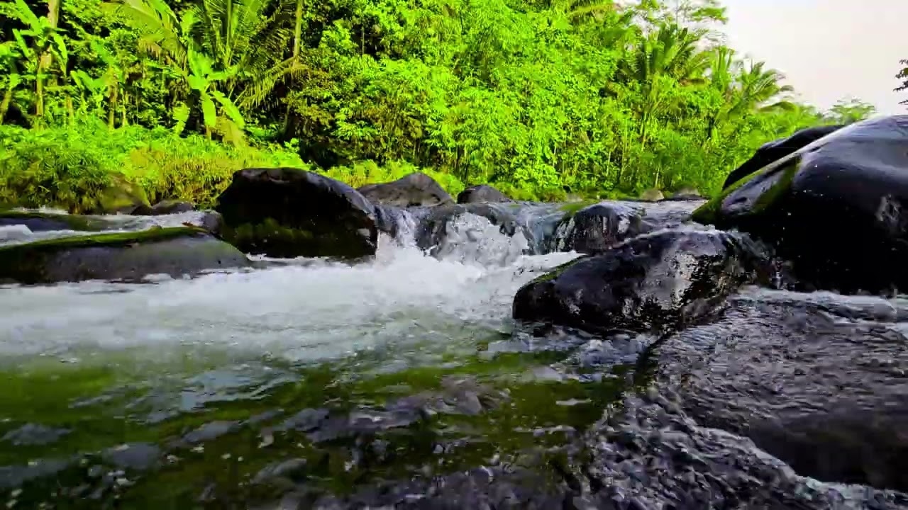 Tropical River ASMR 🌴 Flowing Water Over Rocks | 4K Ultra Relaxing Nature Sounds