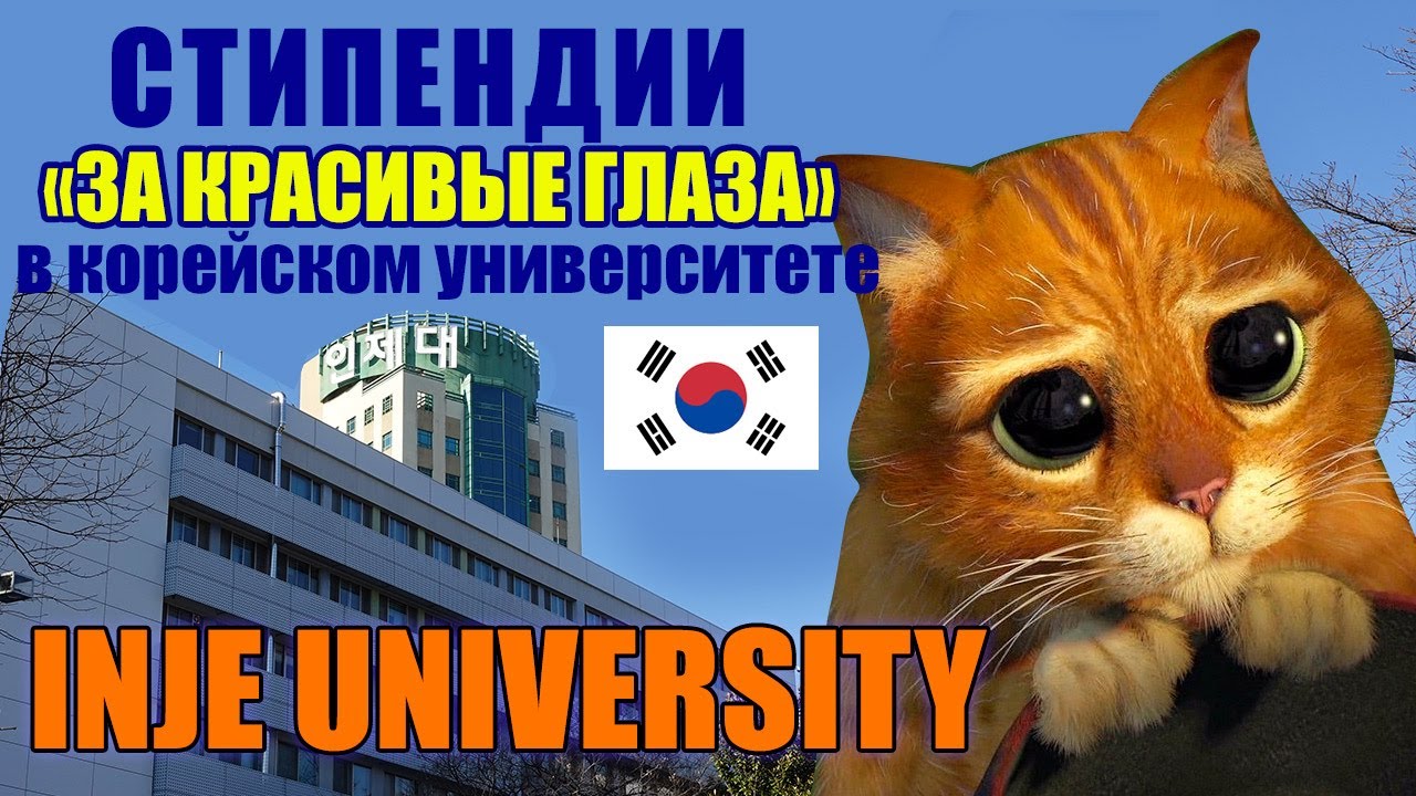 Стипендии 