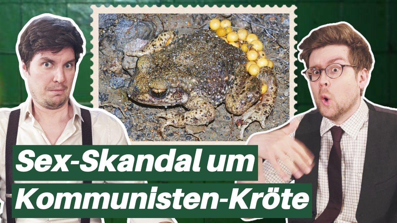 Nazi Verschwörung am Institut der Zauberer | Science Crimes