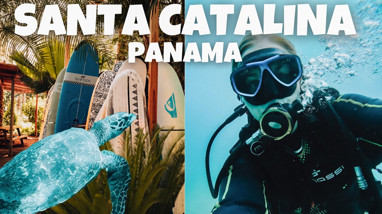 Discovering Santa Catalina & diving at Coiba Island 🐢 Panama travel vlog