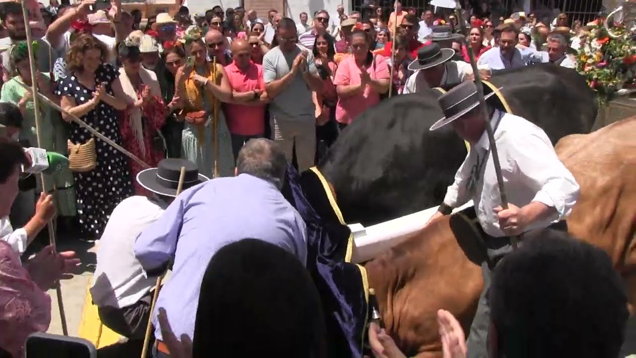 Hermandad del Rocío de Marbella en Villamanrique 2024