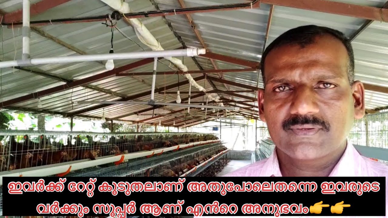 ഞങ്ങളുടെ വർക്കിനെ പറ്റി ഷമീർ ഇക്കയുടെ വാക്കുകൾ Hi-Tec BV380 farm work 