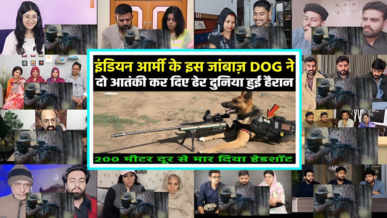 इंडियन आर्मी के इस जांबाज़ DOG ने दो आतंकी कर दिए ढेर दुनिया हुई हैरान Mashup 😲| RC Mashup 🔥