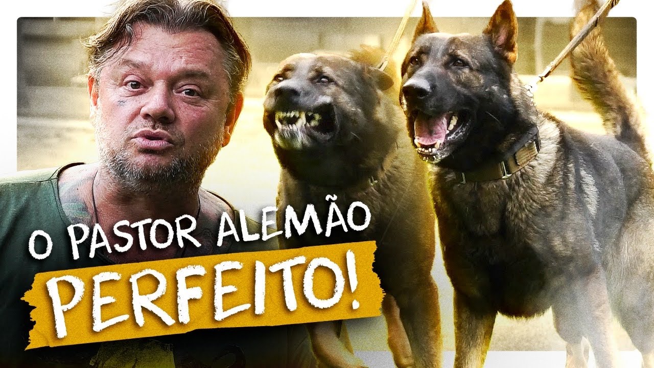PASTOR DE GUARDA! AQUI TEM A MELHOR GENÉTICA! | RICHARD RASMUSSEN