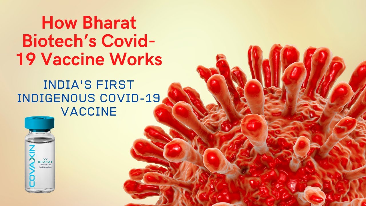 How Bharat Biotech&rsquo;s COVID- 19 Vaccine Works/India's First indigenous COVID-19 Vaccine