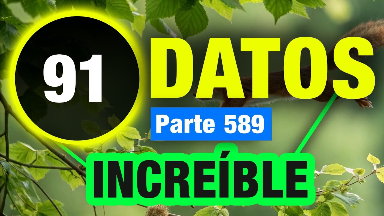 91 Datos Incre&iacute;bles Que Te Sorprender&aacute;n