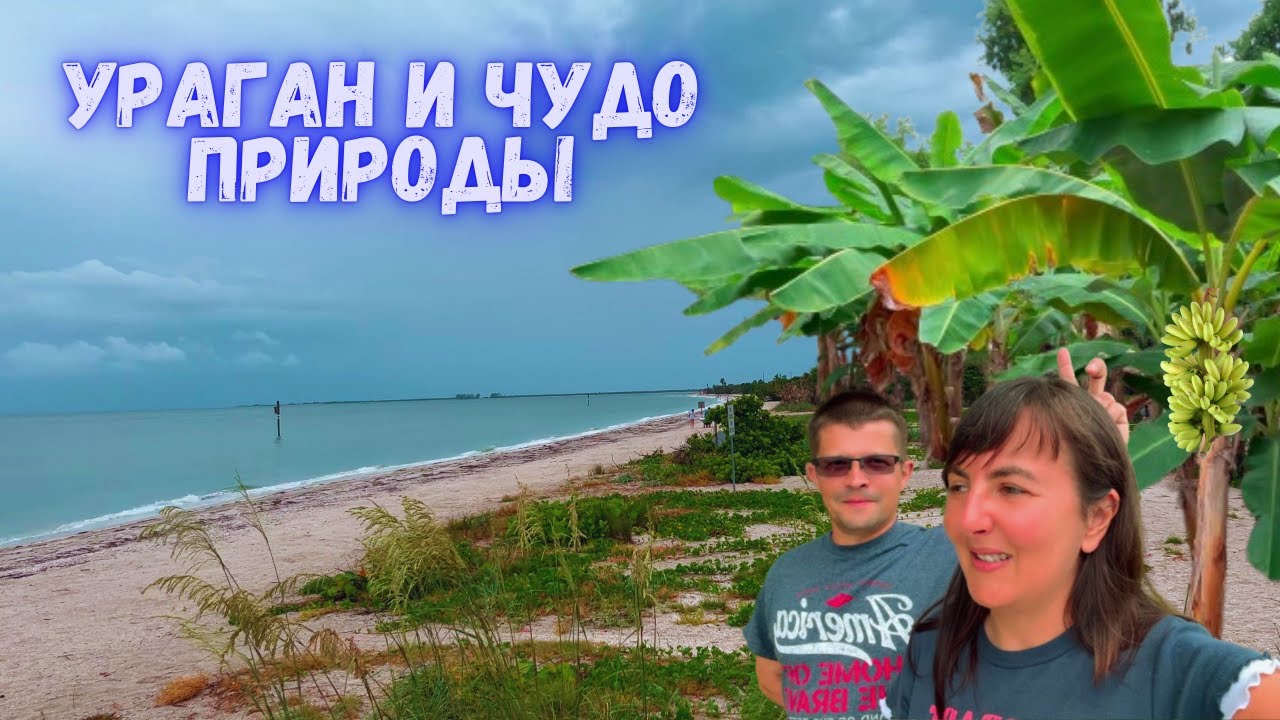Накрыл Ураган. Путешествие на остров с палаткой. Банановая роща, звери, птицы в парке.  Vlog