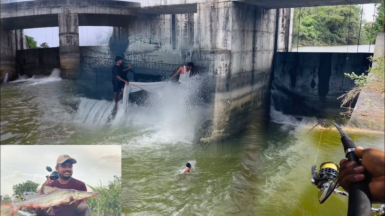ఎర్రలు పిండి లేకుండా పెద్ద ఎటి జెల్ల రవ్వ చేపలు మూడు కొండ్ల గాలంతోని కొట్టినం మామ bros