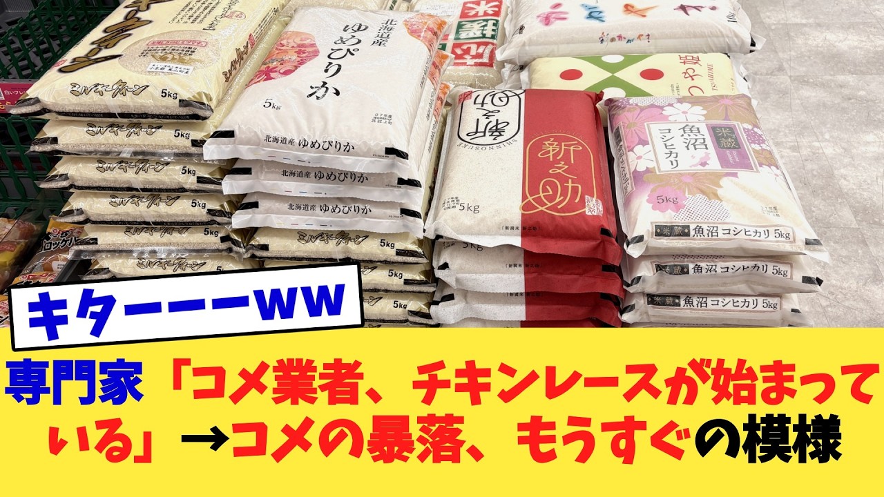 専門家「コメ業者、チキンレースが始まっている」→コメの暴落、もうすぐの模様