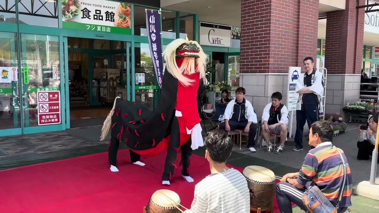 2025年小川獅子舞保存会＆河原獅子舞保存会合同公演inパルティフジ夏目①