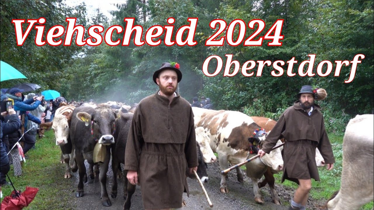 🇩🇪 Viehscheid Oberstdorf 2024 | Traditional events in the Alps Algäu | #MeinWanderlustdiaries