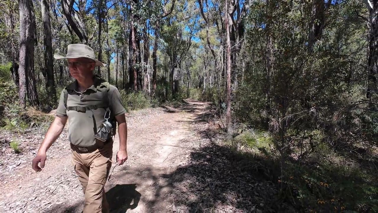 Walkabout on the Munday Brook Trail Karragullen Western Australia