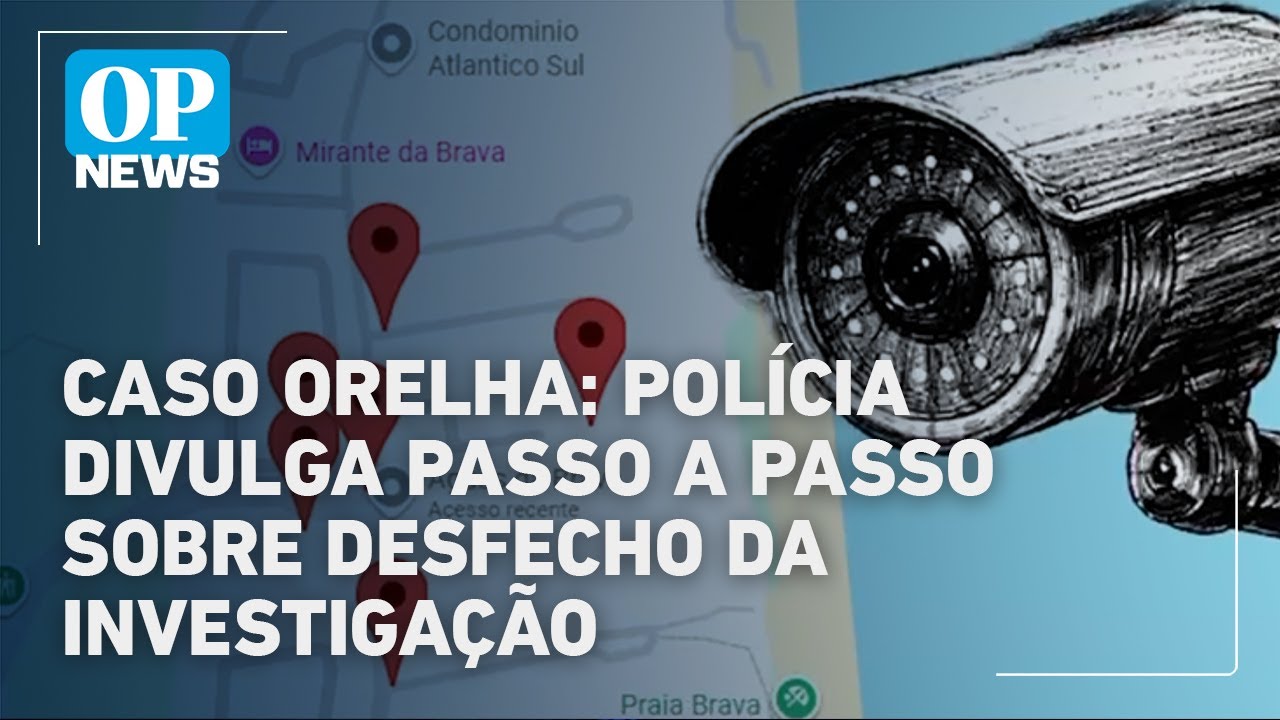 Infográfico reconstitui agressão de jovem contra cão Orelha em SC | O POVO News