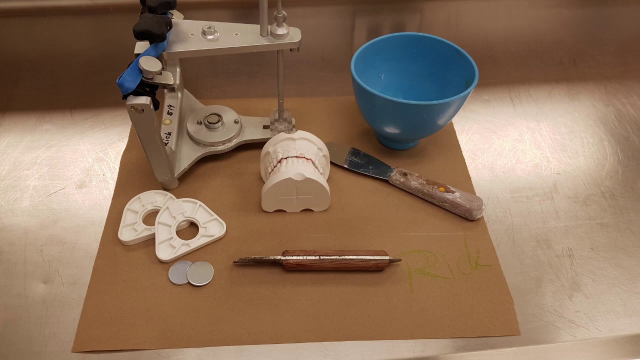 Year one articulation