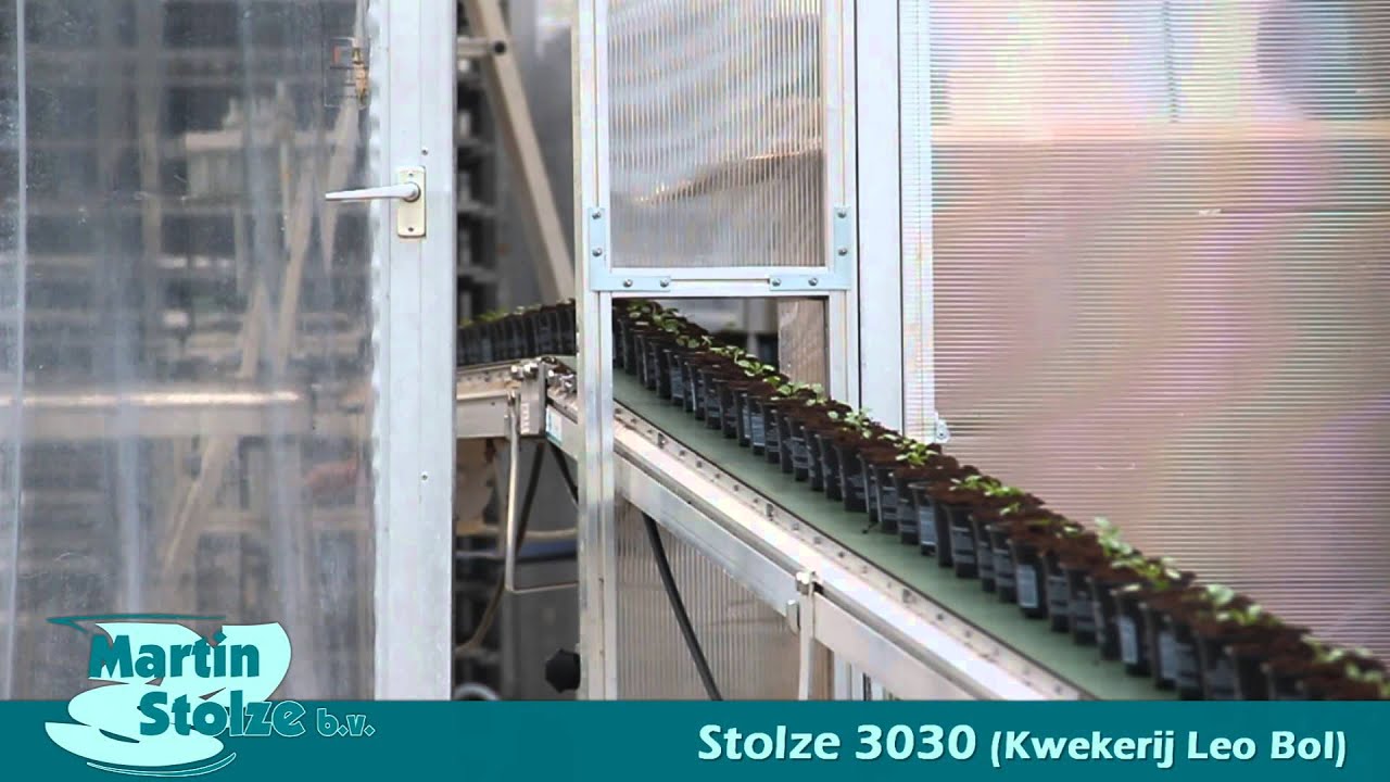 video Stolze 3030 (Kwekerij Leo Bol)