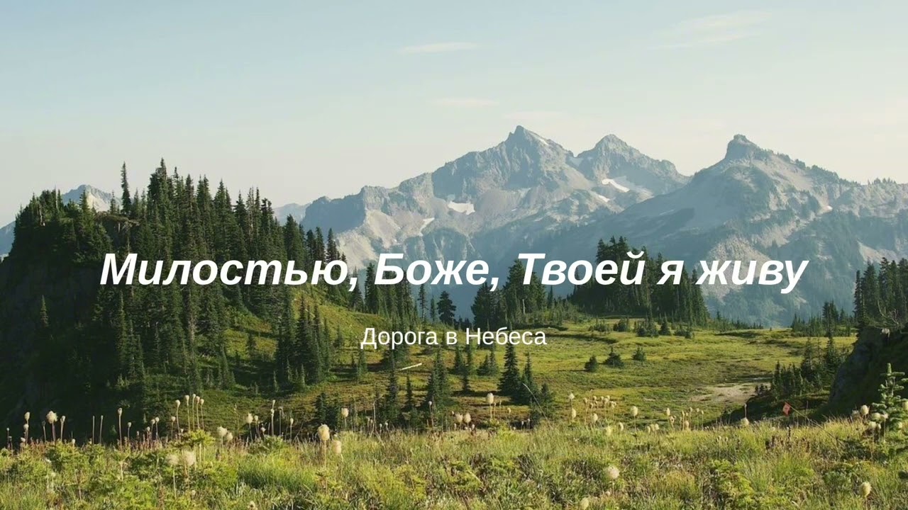 Милостью, Боже, Твоей я живу | Премьера в новом исполнении 2025❤️