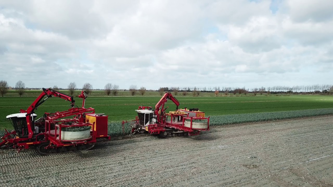 Arrachage de poireau 2019 avec 2 automotrices à chenilles Verhoest / leek harvester , preirooier