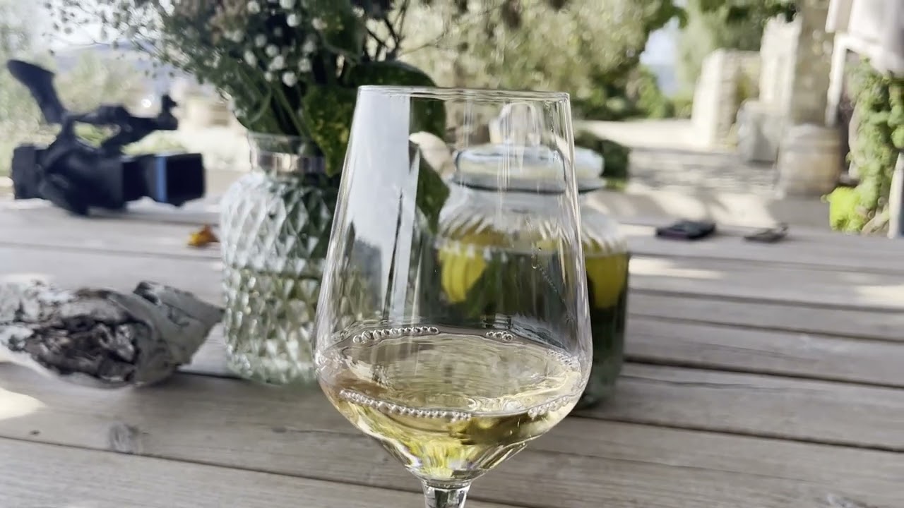 RTHN - More i zaleđe / Vinarija Savina / 16.09.2022.