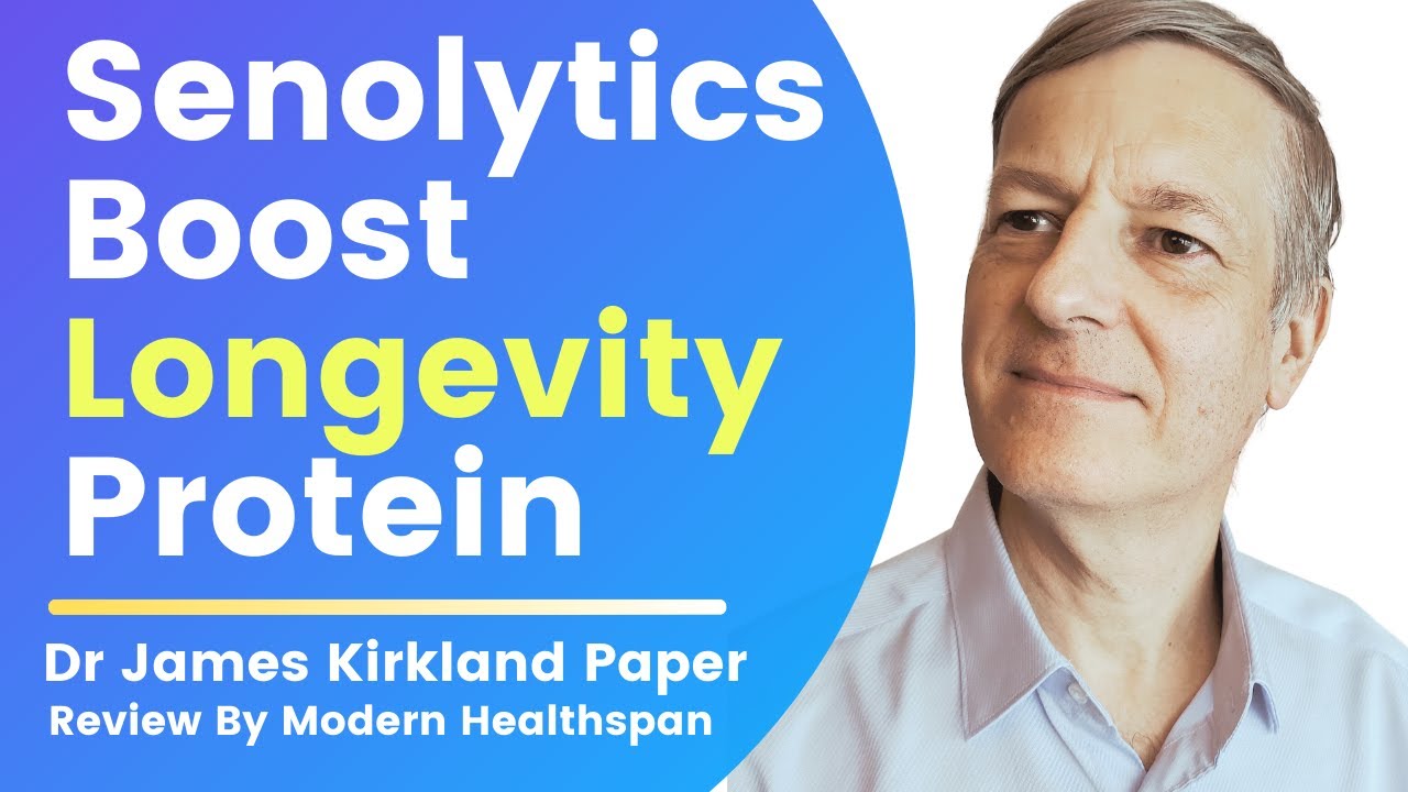 Senolytics Boost Longevity Protein In Humans | Review By Modern Healthspan