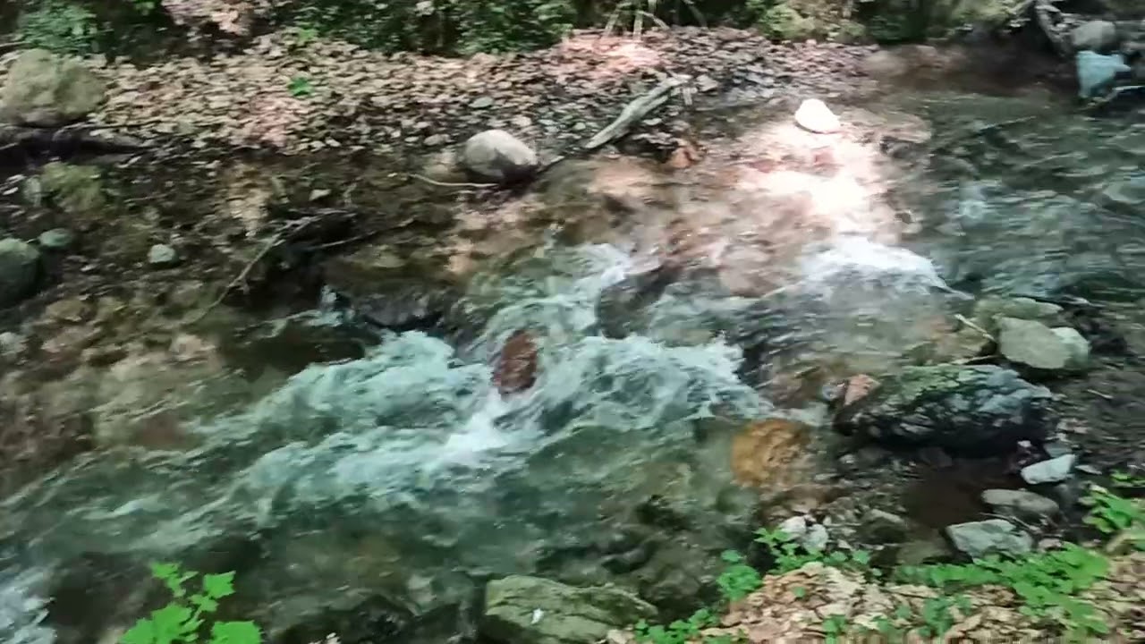 YEDİ GÖLLER MİLLİ PARKI