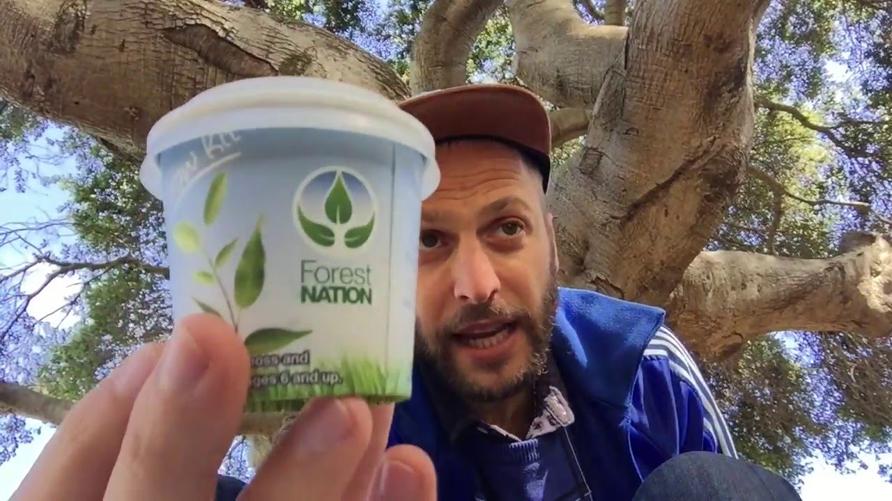 Get your community to grow with you - Imagine ForestNation
