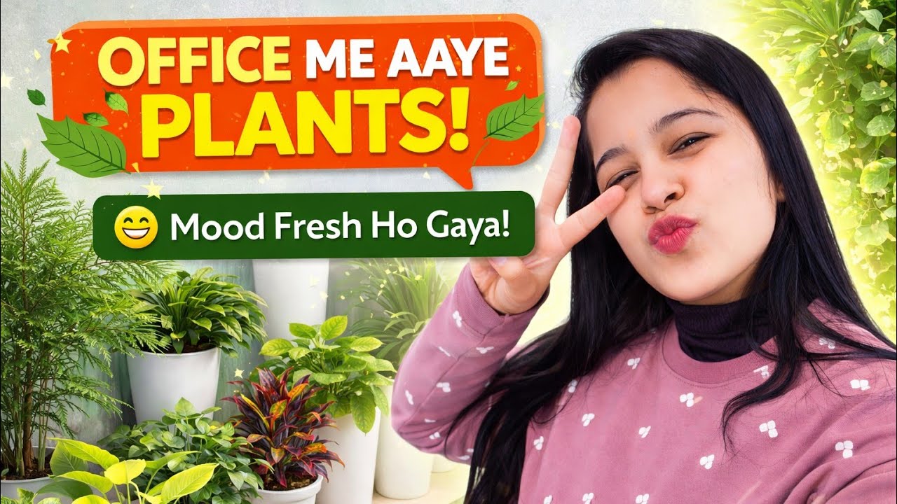 Plants se bhara Office 🌿 | Thand me Ice-Cream 🍦 | Aaj ka din kuch alag tha