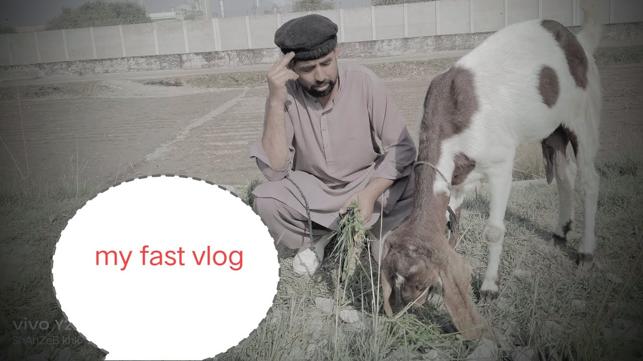 My fast vlog bakri new Lele ki  🥹