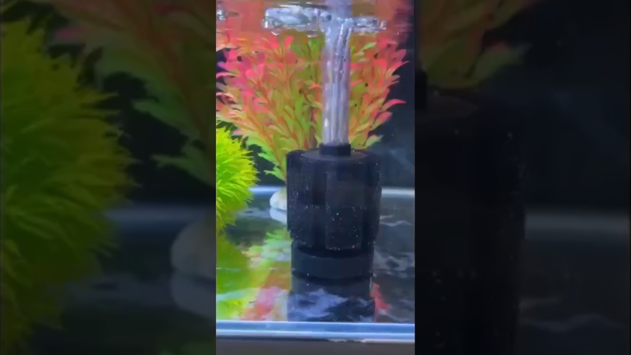 Aquarium Sponge Filter for All kinds of Freshwater Aquariums