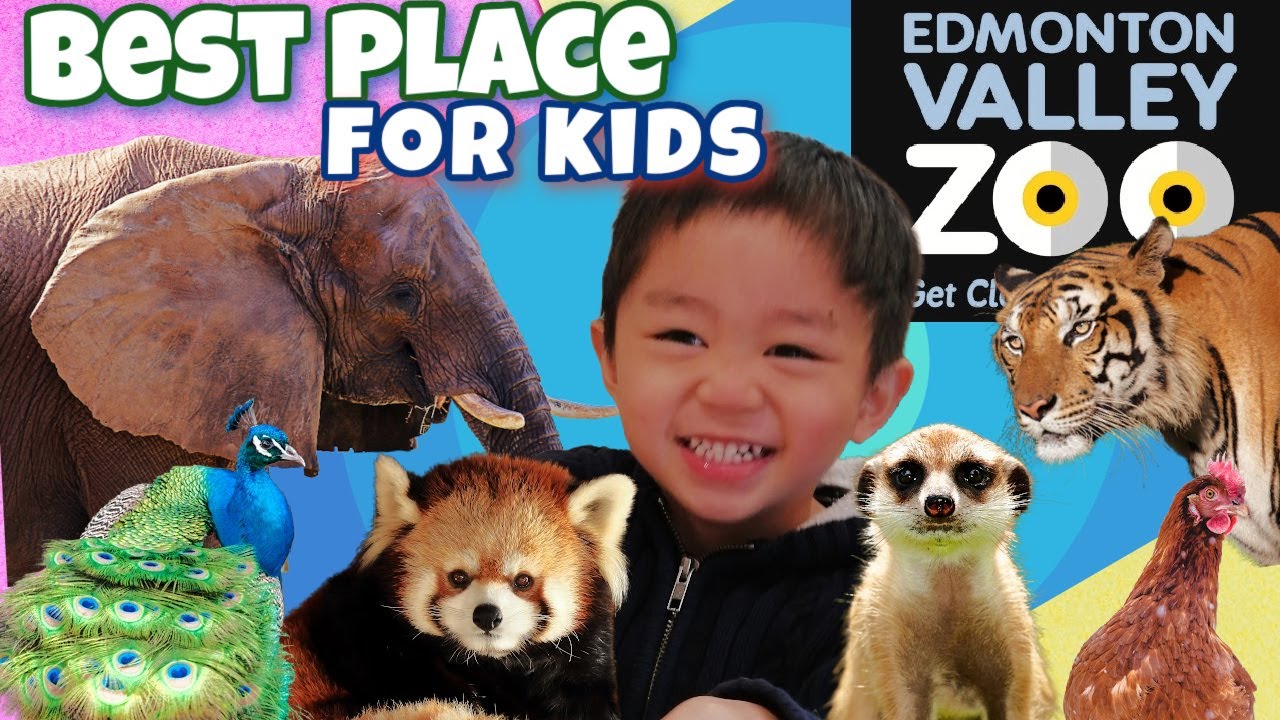 Edmonton Valley Zoo| Mabuhay Shout out | Tagalog Time | Ea and Prim Tv