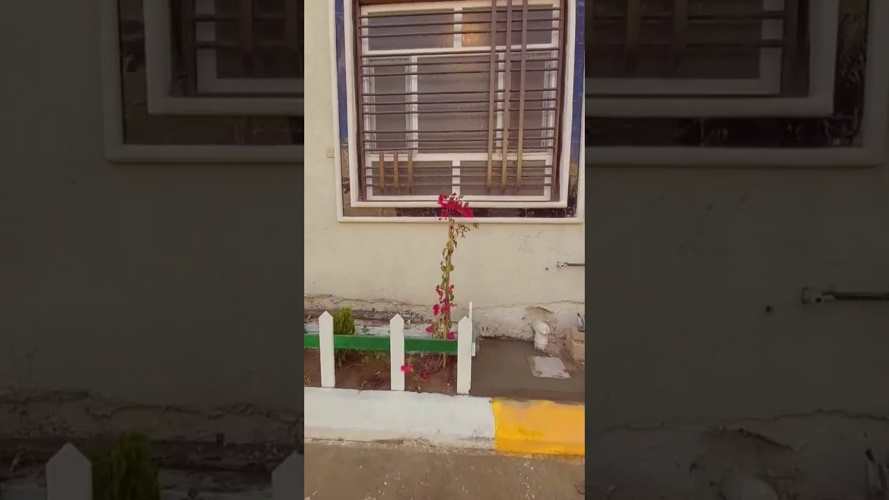 خارطة ٥٠م  اجمل بيت  في العراق مساحة صغيرة