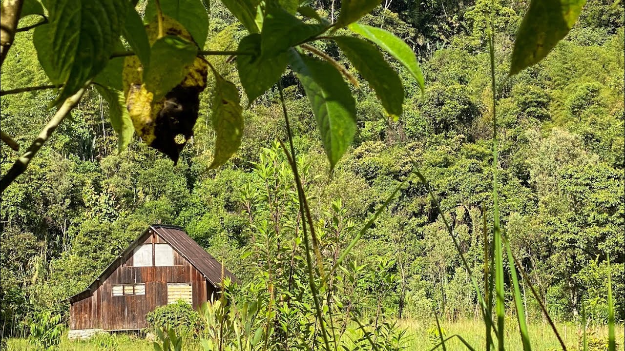Where to stay in Mindo Ecuador! Casa Divina Lodge or Rio saguamby hosteria