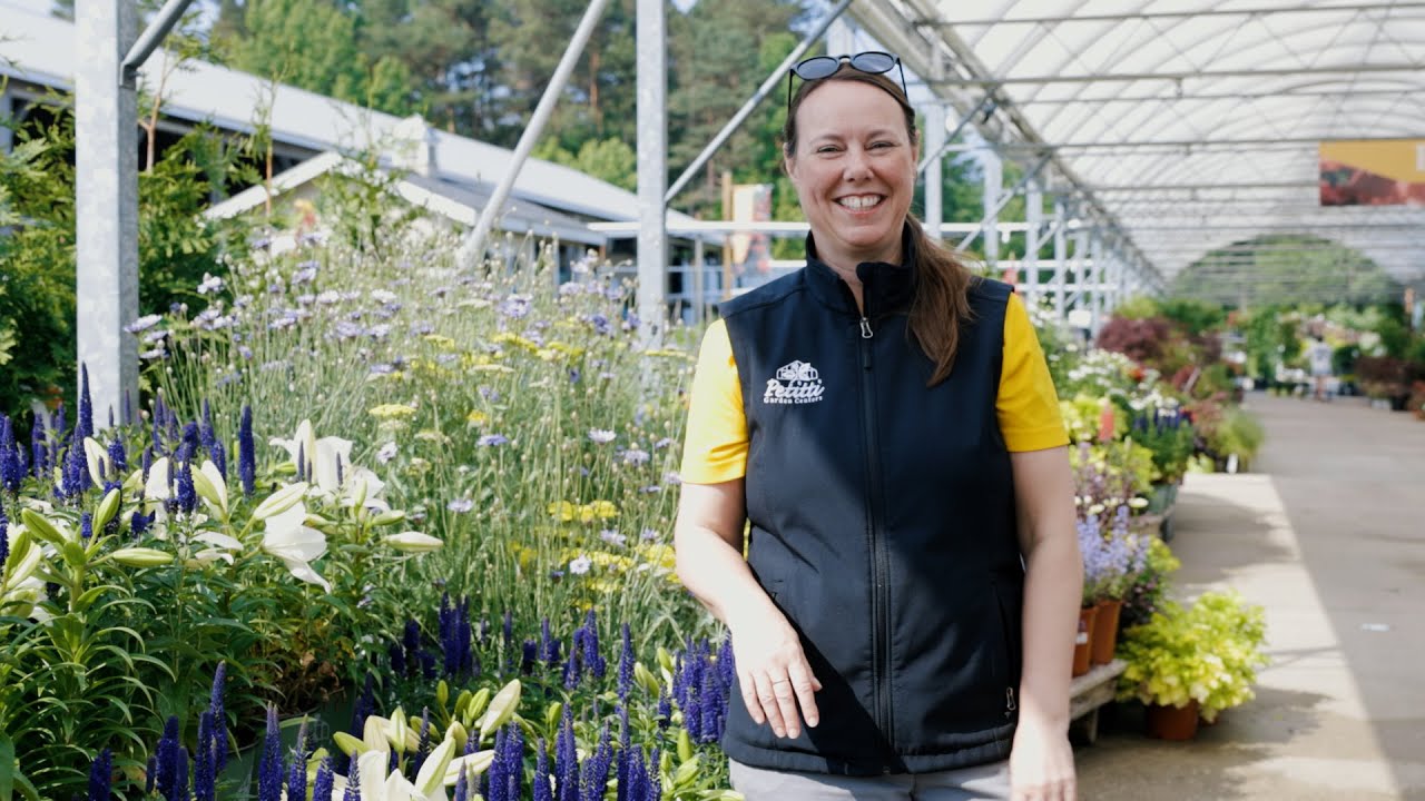 PETITTI | What's in Store June 2025
