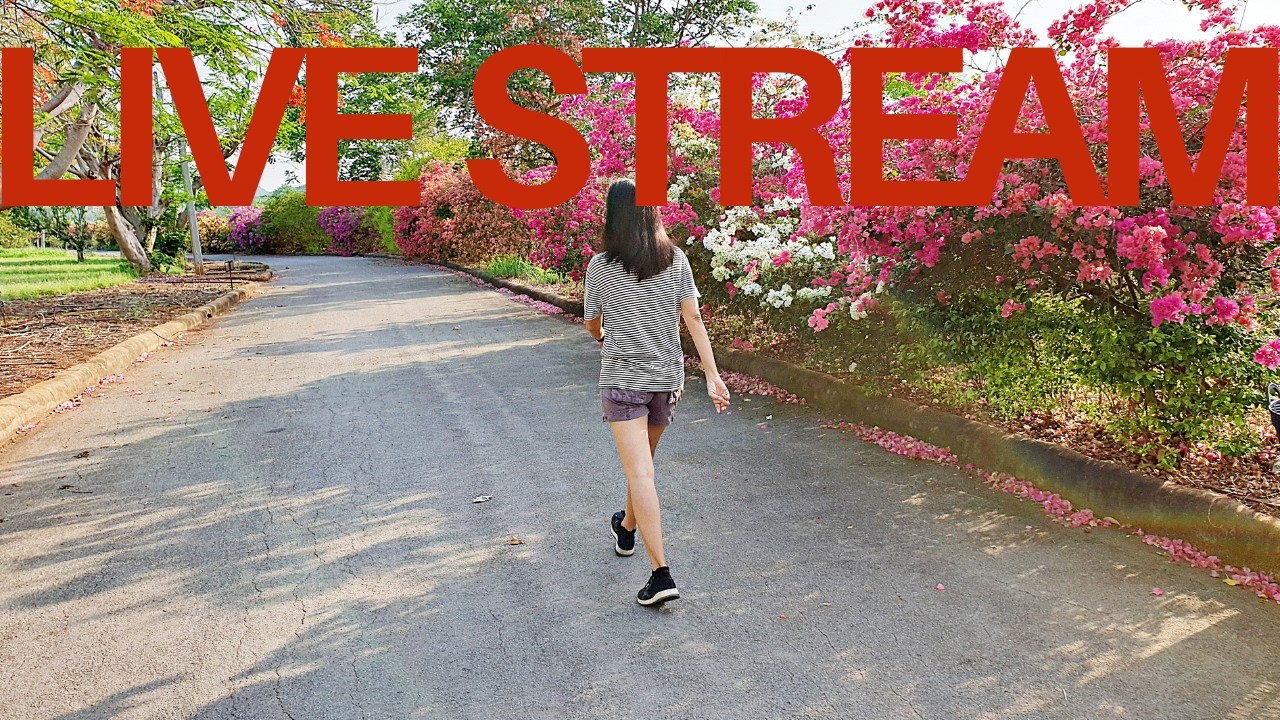 Walk to Benefit #walking #benefits #live 