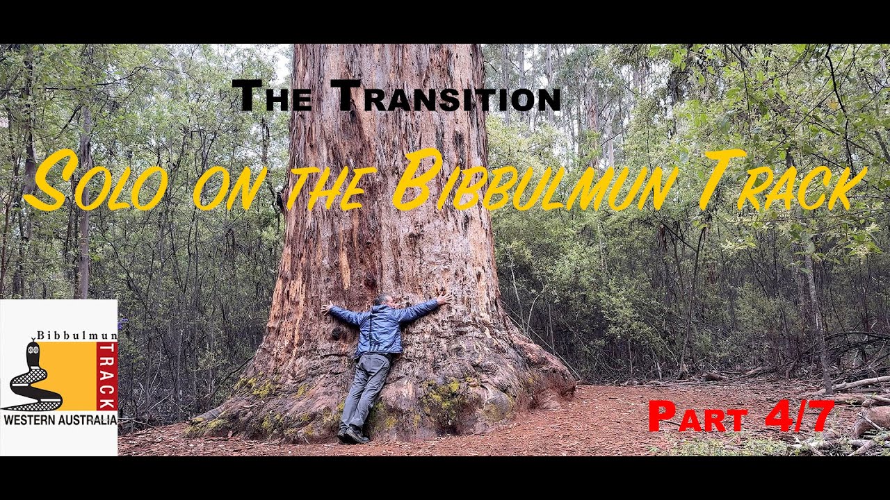 The Transition /Solo on the Bibbulmun Trail