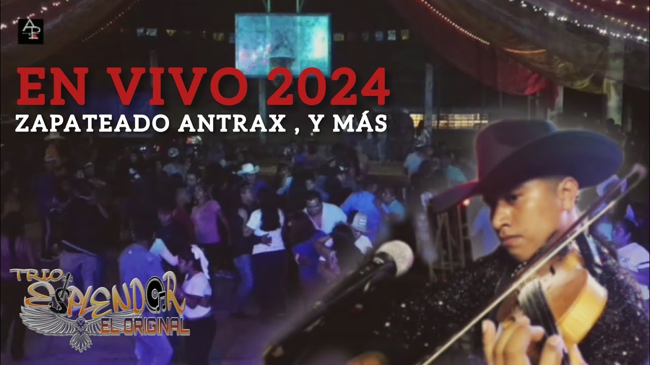 TRÍO ESPLENDOR 🎻 ZAPATEADO ANTRAX 🎬 Y MAS 🎬🎬🎬BAILE DE XV ♥️EN VIVO